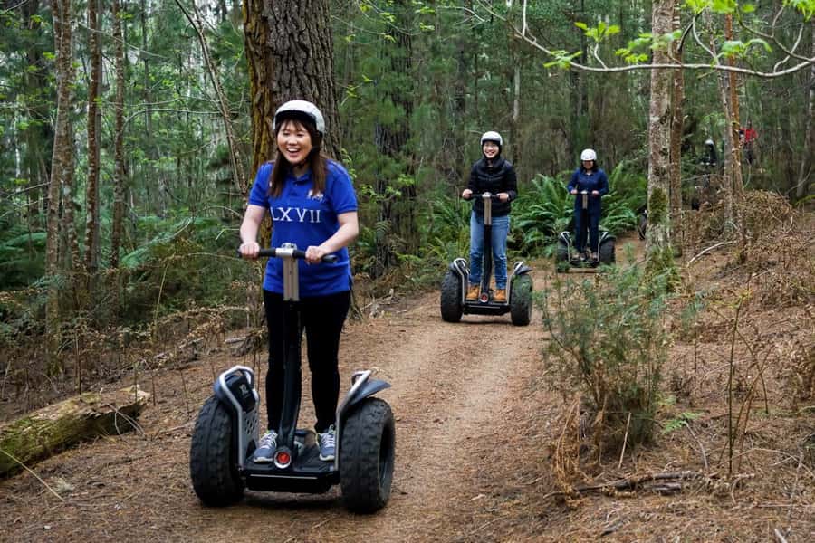 Launceston: Hollybank Forest Guided Segway Tour with Photos - What the route feels like on an off-road Segway
