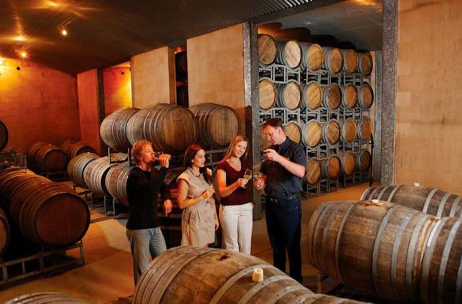 Launceston: Tamar Valley Wine Tour with Lunch - Why Tamar Valley wine is worth a day
