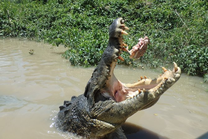 Litchfield and Jumping Crocodiles Full Day Trip from Darwin - The included picnic lunch