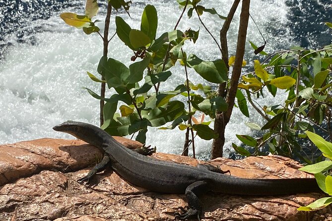 Litchfield & Berry Springs VIP Adventure Day Tours (group of 11) - Buley Rockhole keeps the water theme going