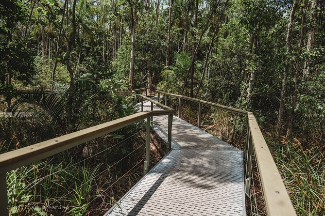 Litchfield Day Tour from Darwin with Offroad Dreaming - What the guide adds to the long drive