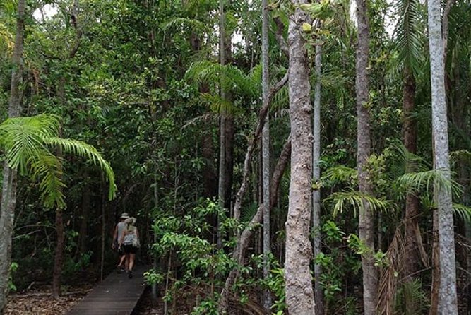 Litchfield National Park and Jumping Crocodile Cruise - Key things to know before booking
