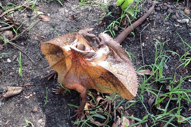 Litchfield National Park and Jumping Crocodile Cruise - What to pack for the Top End day