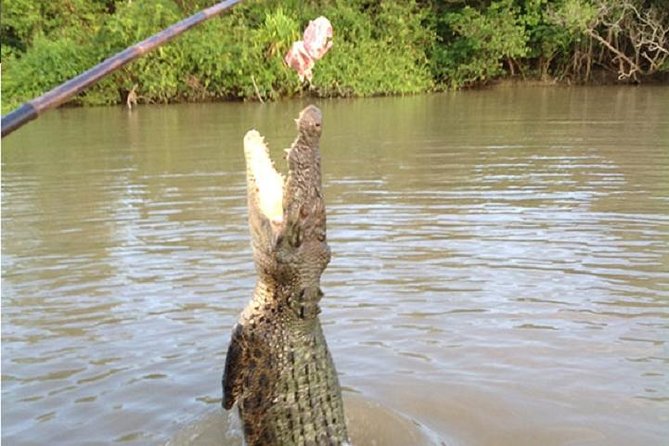 Litchfield National Park and Jumping Crocodile Cruise - Who should book this Litchfield and crocodile tour?