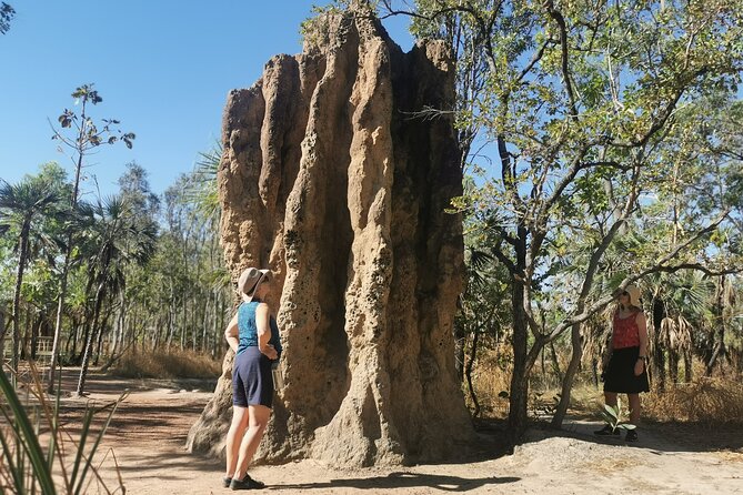 Litchfield National Park Day Tour & Berry Springs, Max 11 Guests - Florence Falls begins the waterhole circuit