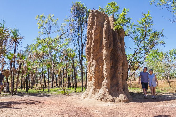 Litchfield National Park Day Tour from Darwin - Magnetic termite mounds: a quick stop with a big payoff