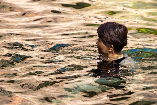 Litchfield National Park Day Tour from Darwin - Howard Springs and the wildlife stop