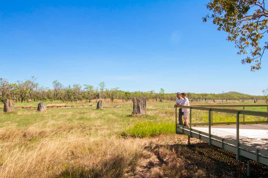 Litchfield National Park: Full-Day & Lunch from Darwin - Termite mounds: the first unusual sight