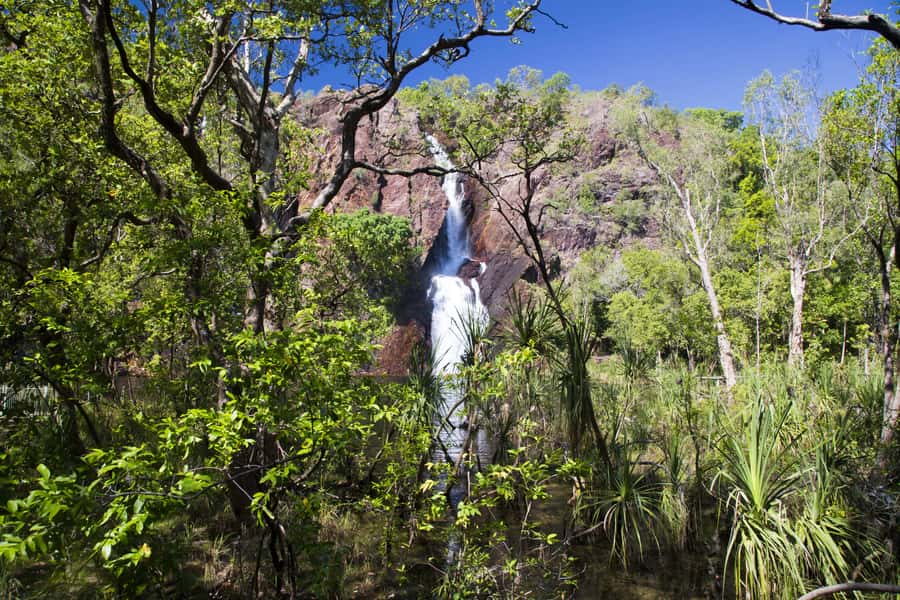 Litchfield National Park: Full-Day & Lunch from Darwin - Lunch is practical, not a major food event