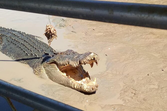 Litchfield National Park Tour with Wetlands or Crocodile Cruise - Is the $112.79 price good value?