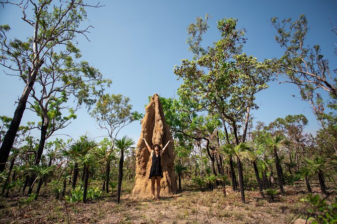 Litchfield National Park Tour with Wetlands or Crocodile Cruise - Adelaide River: crocodiles or Fogg Dam