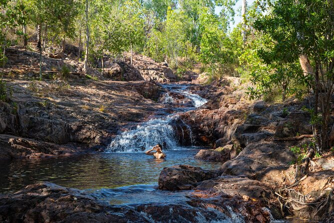 Litchfield National Park Waterfalls & Wildlife Adventure Tour - Fogg Dam: birds, reptiles and a choice to make