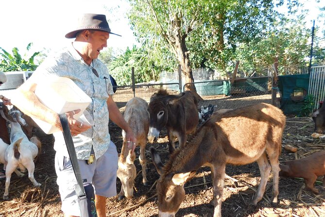 Litchfield Park & Jumping Crocodile Cruise - Florence Falls offers another rewarding swim