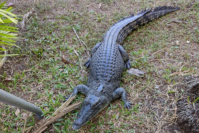 Litchfield Park & Jumping Crocodile Cruise - Batchelor is the practical pause in a long day