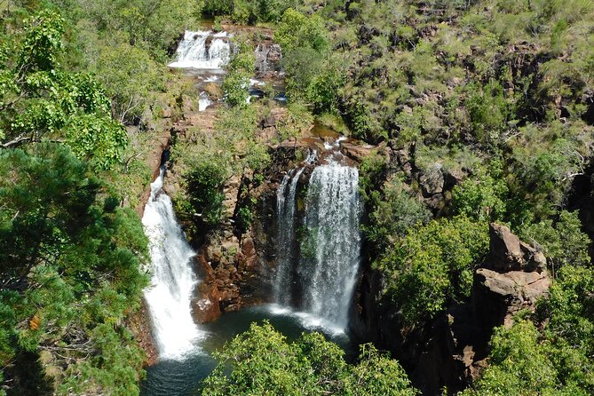Litchfield Park & Jumping Crocodile Cruise - What the guide adds to the experience
