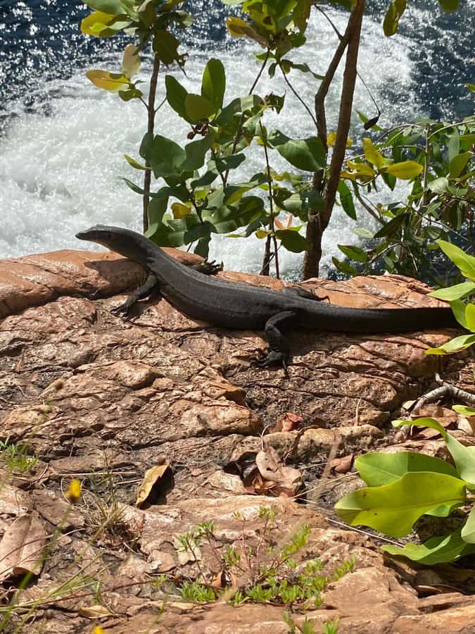 Litchfield VIP Tours, Litchfield National Park, Day Tours, - Who will enjoy this 10-hour outing