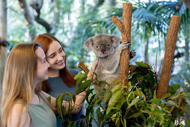 Lone Pine Koala Sanctuary Day Pass - Why Lone Pine works as a Brisbane day out