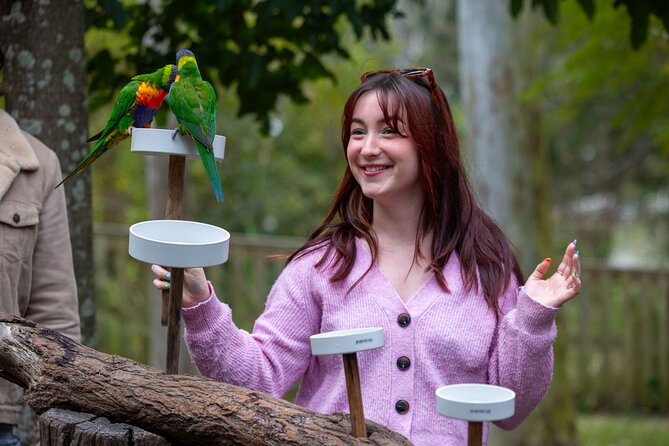 Lone Pine Koala Sanctuary Day Pass - Lorikeets, platypus, dingoes, and more