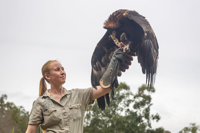 Lone Pine Koala Sanctuary Day Pass - What the $42.32 admission includes