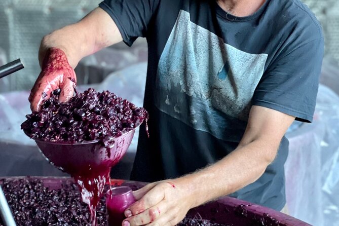 Luke's McLaren Vale Wine Tour - Who should book this day out
