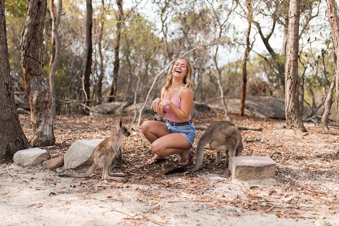 Luxury Hunter Valley Wildlife & Wine Tasting Tour from Sydney - What the guide adds to a long day