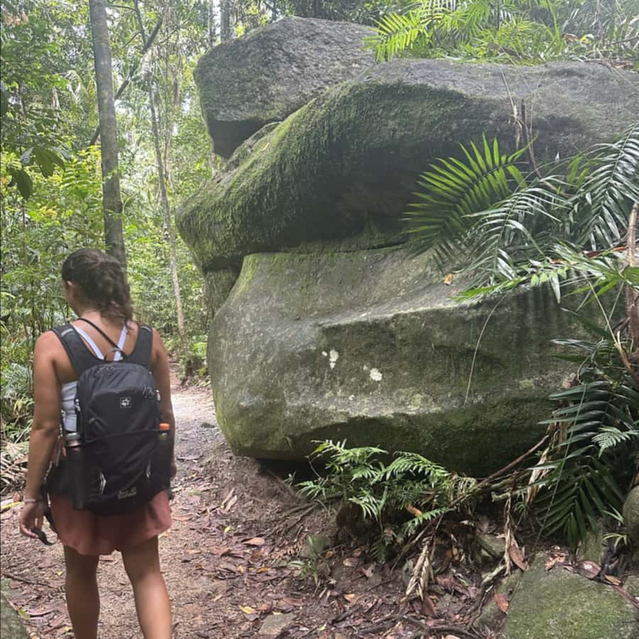 Mackay: Finch Hatton Gorge Hike, Swim & Platypus Adventure - Key points to know before booking