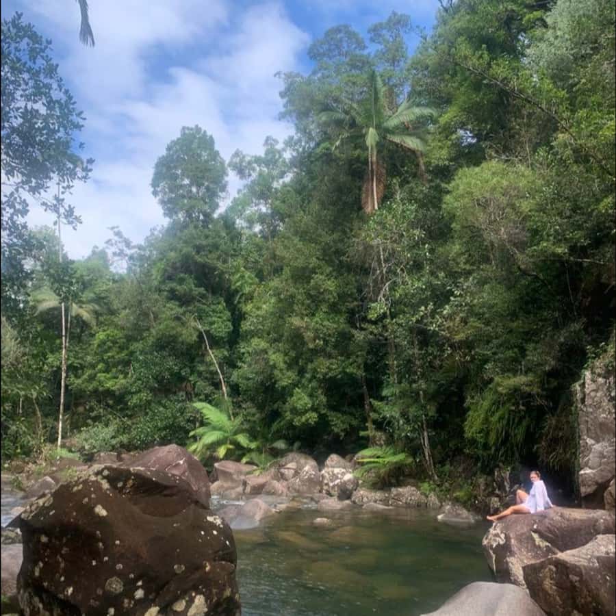 Mackay: Finch Hatton Gorge Hike, Swim & Platypus Adventure - From Mackay into Yuwi country