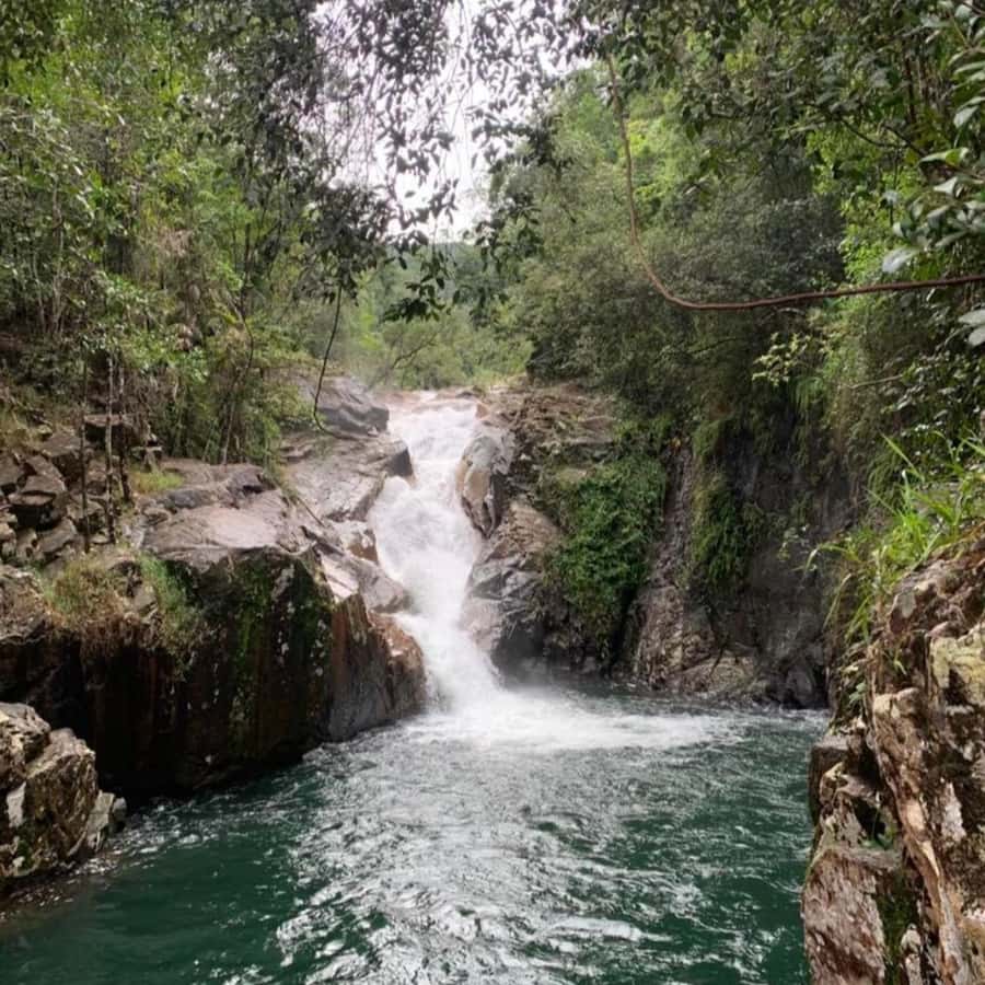 Mackay: Finch Hatton Gorge Hike, Swim & Platypus Adventure - A short pub lunch in Finch Hatton