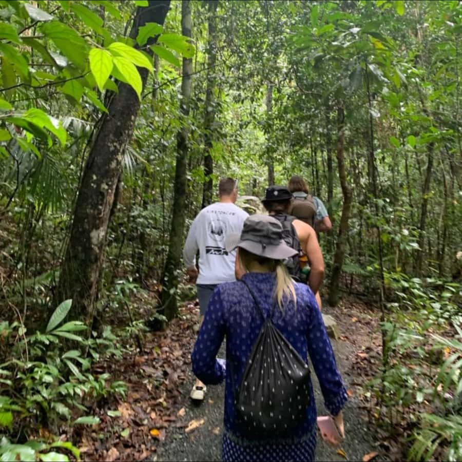 Mackay: Finch Hatton Gorge Hike, Swim & Platypus Adventure - Finch Hatton Gorge and the 40-minute rainforest walk