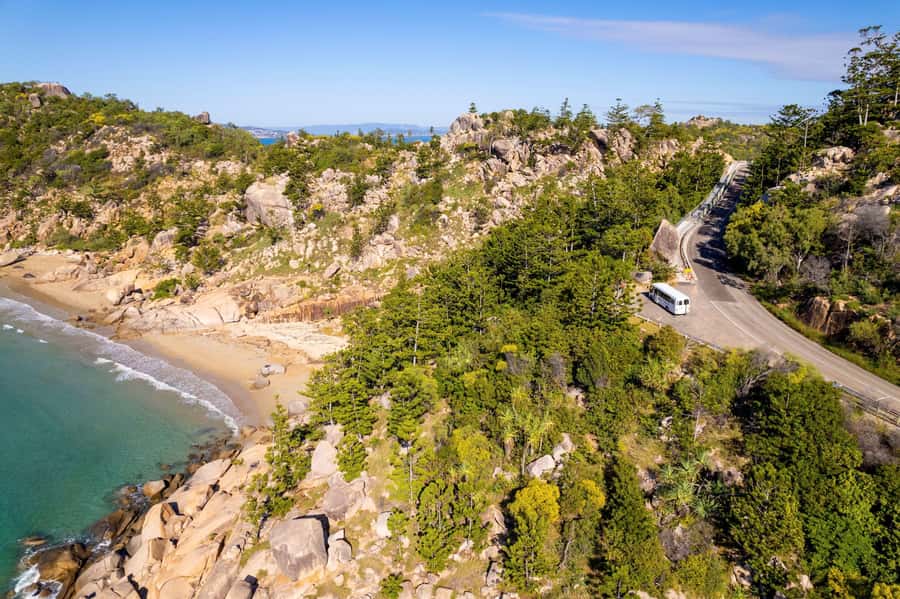 Magnetic Island: Behind the Scenes Tour - The private conservation stop and the koala connection