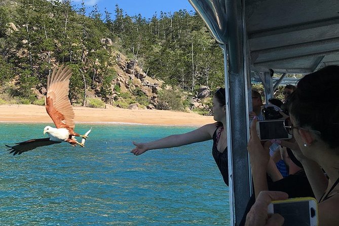 Magnetic Island Discovery Tour with Snorkeling & Paddle Boarding - Morning tea on a secluded beach