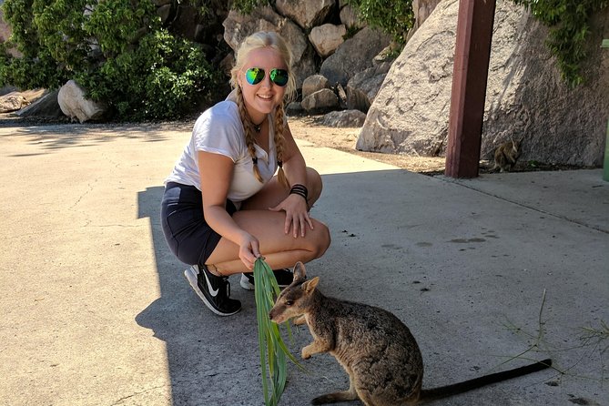 Magnetic Island Tour: Maggie Comprehensive - Key points to know before booking