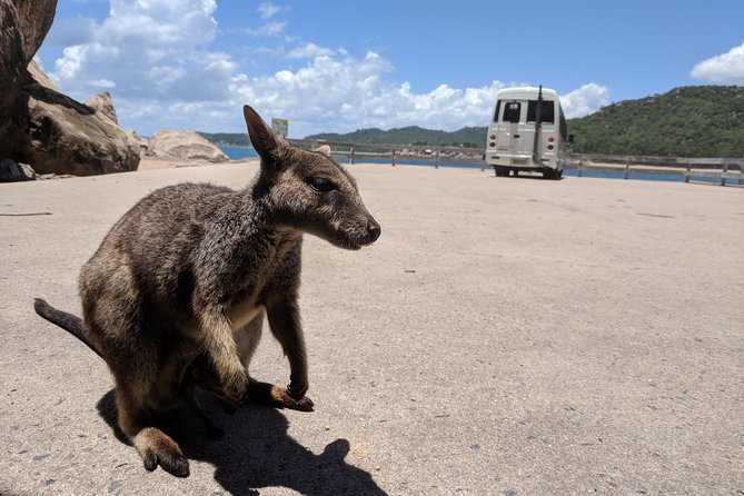 Magnetic Island Tour: Maggie Comprehensive - Picnic Bay adds history to the scenery