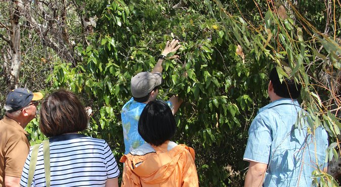 Magnetic Island Tour: Maggie Comprehensive - Geoffrey Bay is the wildlife highlight