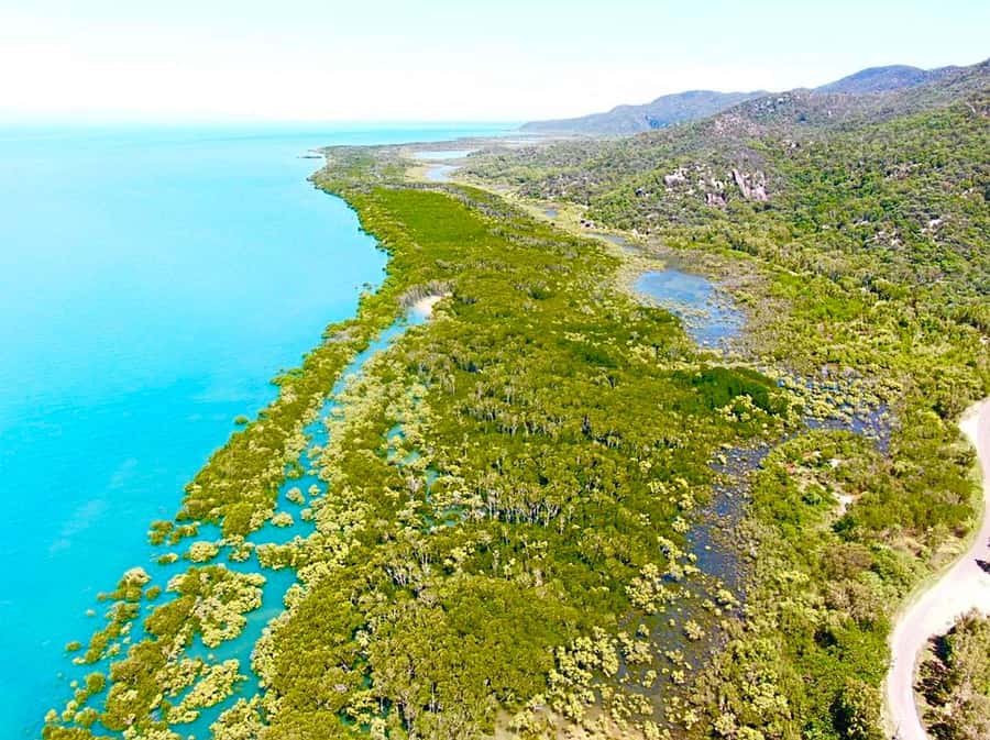 Magnetic Island: West Coast Eco Adventure Bus Tour - Key points to know before you book