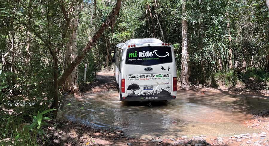 Magnetic Island: West Coast Eco Adventure Bus Tour - First stops: Nelly Bay to Picnic Bay