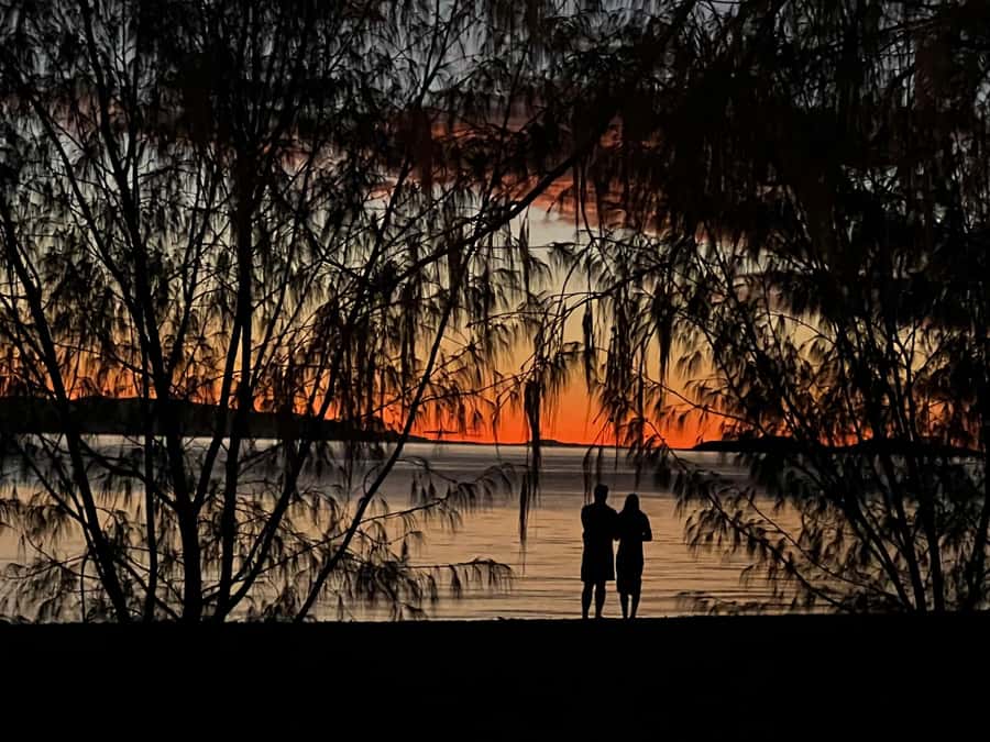 Magnetic Island: West Coast Eco Adventure Bus Tour - Bolger Bay Conservation Park by bus and on foot