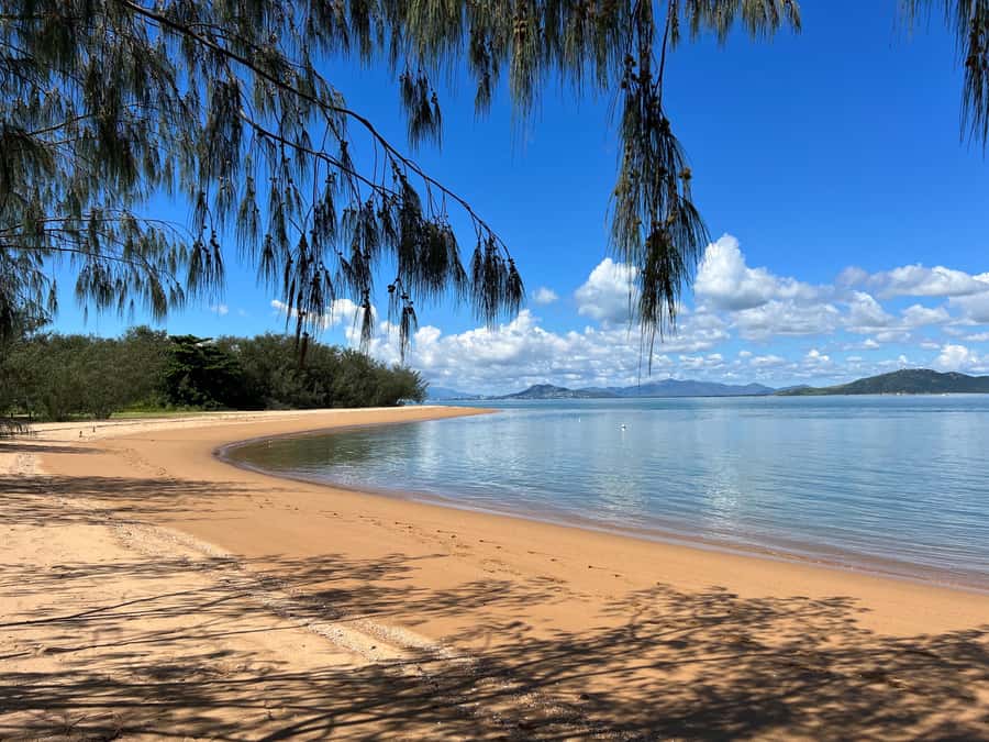 Magnetic Island: West Coast Eco Adventure Bus Tour - A break with local morning tea