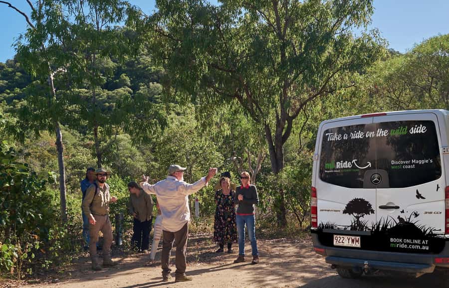 Magnetic Island: West Coast Eco Adventure Bus Tour - Returning through Picnic Bay to Nelly Bay