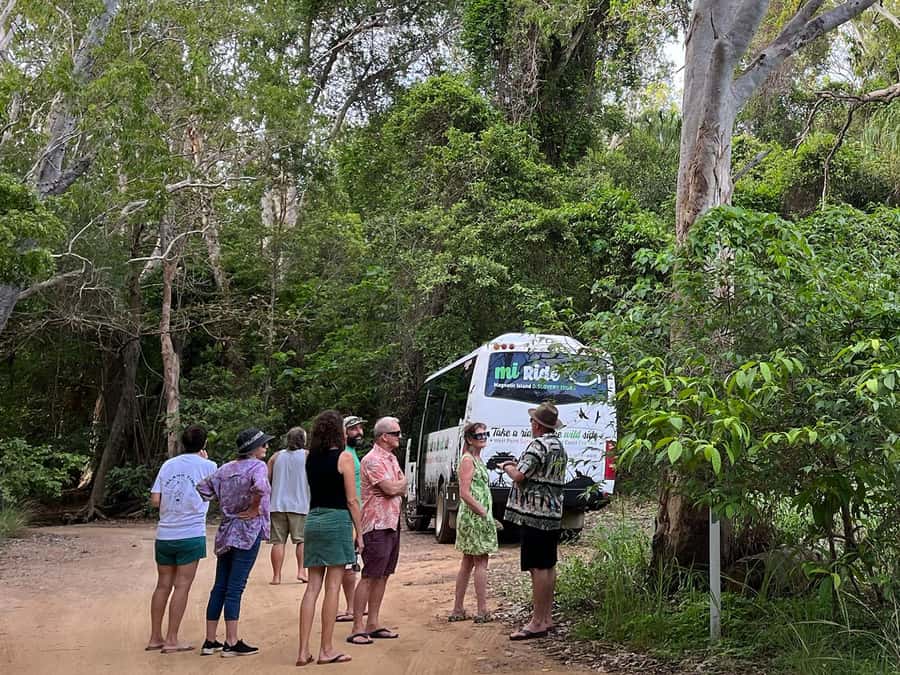 Magnetic Island: West Coast Eco Adventure Bus Tour - Meeting the bus at Nelly Bay
