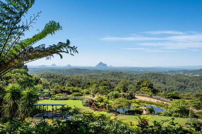 Maleny Botanic Gardens Bird Aviary Experience Ticket - Meeting the birds inside Maleny’s aviaries