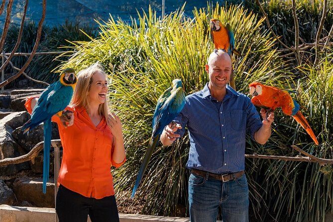 Maleny Botanic Gardens Bird Aviary Experience Ticket - What the guided tour adds