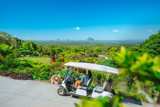 Maleny Botanic Gardens Bird Aviary Experience Ticket - Should you book the Maleny bird aviary experience?