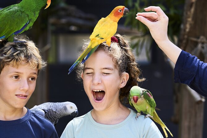 Maleny Botanic Gardens Bird Aviary Experience Ticket - Six kilometres of gardens beyond the aviary