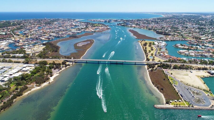Mandurah: Dolphin and Views Cruise - Wetlands, pelicans, swans, and birds