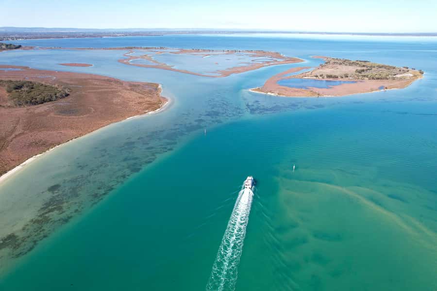 Mandurah: Dolphin & Giant Sightseeing Cruise - Why Seba’s Song makes this cruise different
