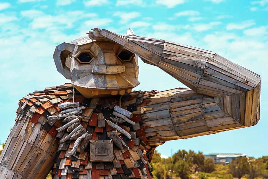 Mandurah: Dolphin & Giant Sightseeing Cruise - Wetlands, birdlife, and the Dawesville Cut