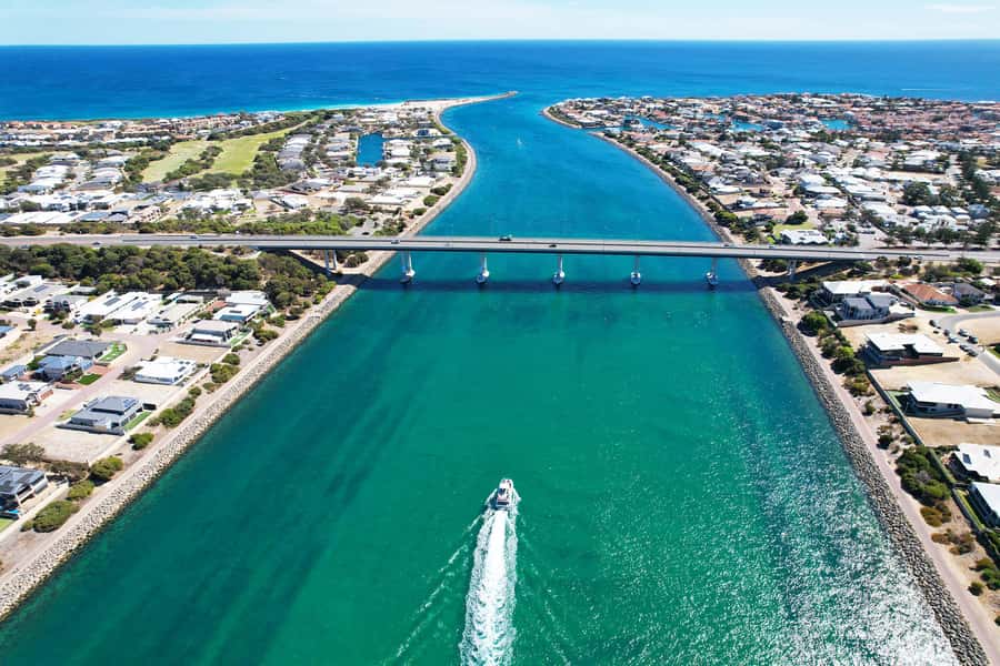 Mandurah: Dolphin & Giant Sightseeing Cruise - Seeing Seba’s Song from the water