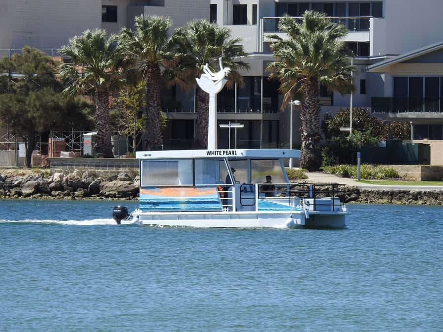 Mandurah: Sightseeing Dolphin Cruise with Tour Guide - Key points to know before you board