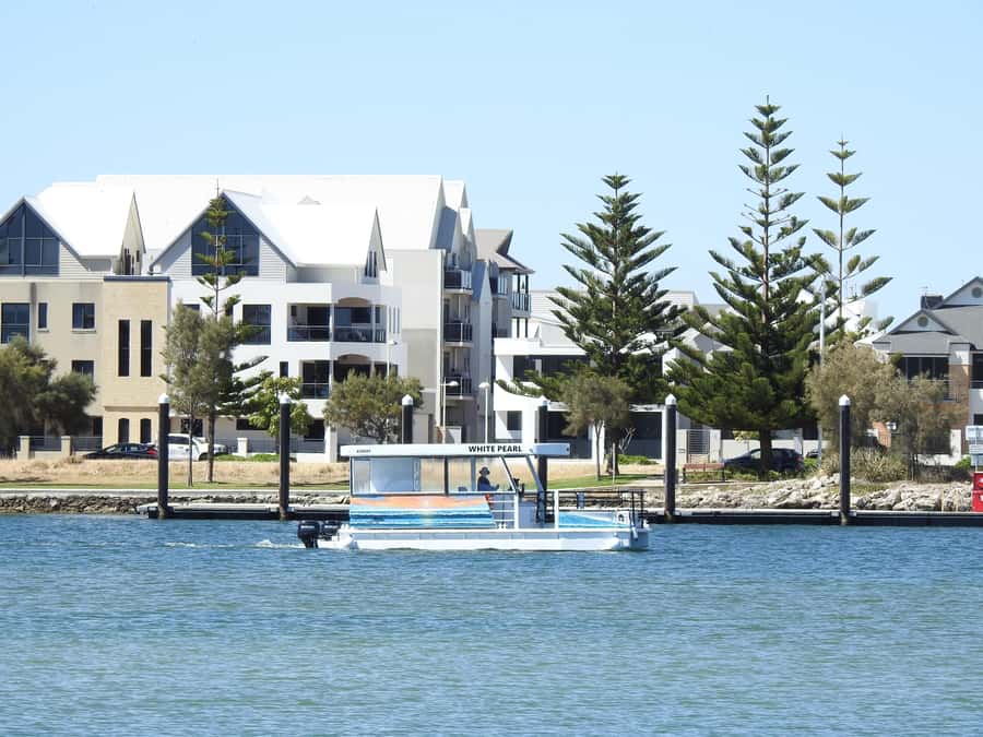 Mandurah: Sightseeing Dolphin Cruise with Tour Guide - How realistic is dolphin watching?